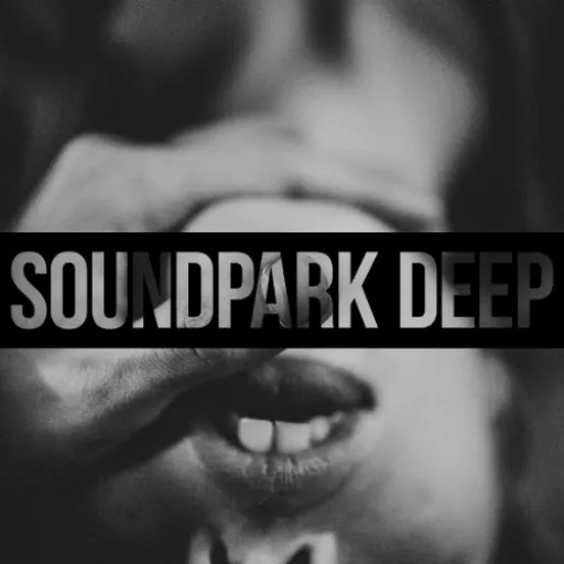 Логотип Soundpark Deep